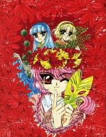 Rayearth_Artbook_Vol.1_53